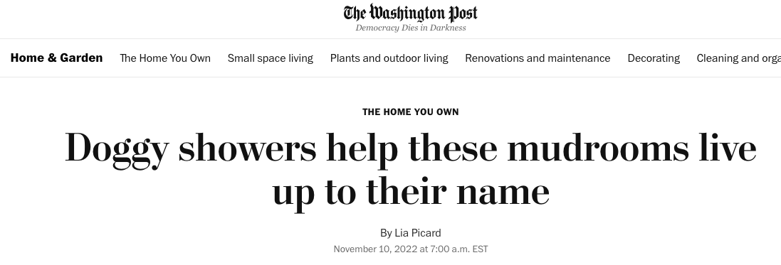 Washington Post screenshot title "Doggy showers help these mudrooms live up to their name"