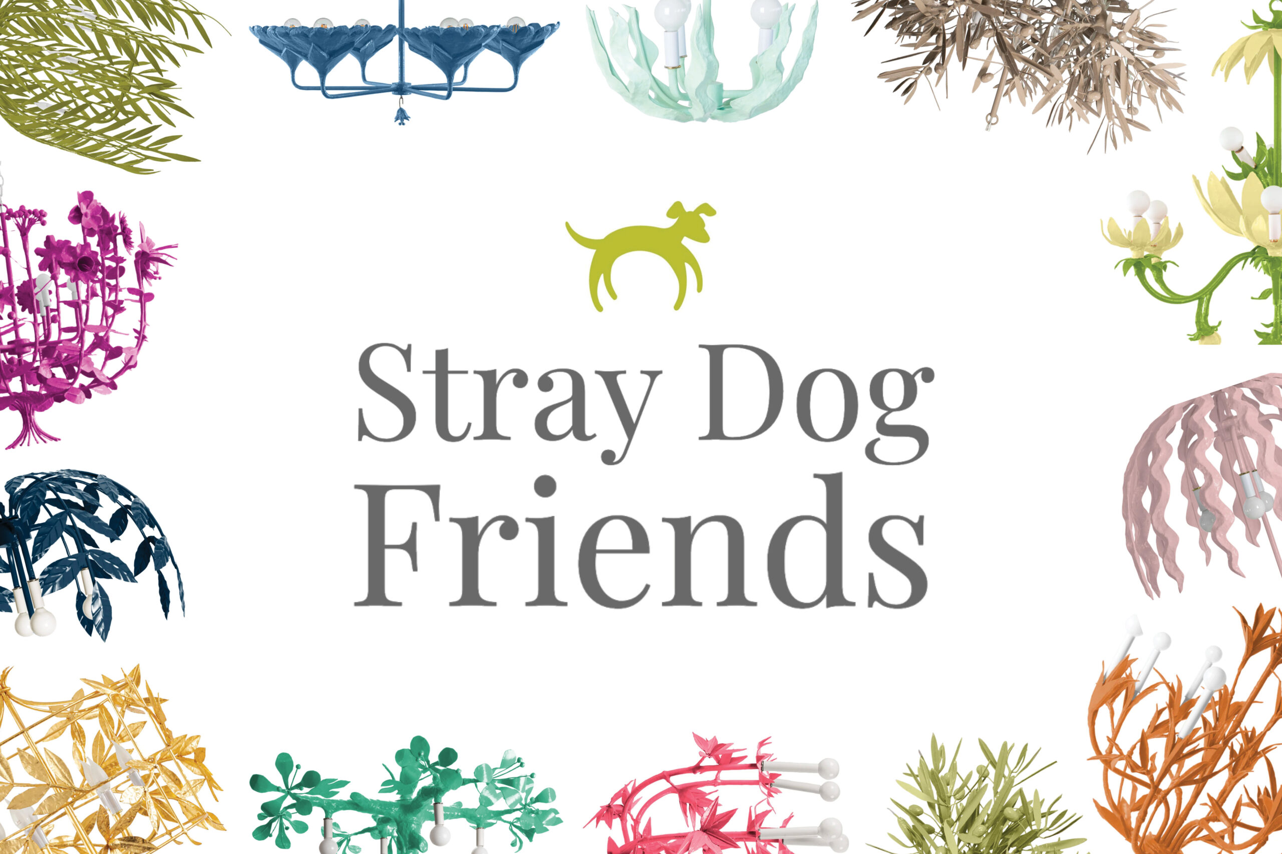 Stray Dog Friends